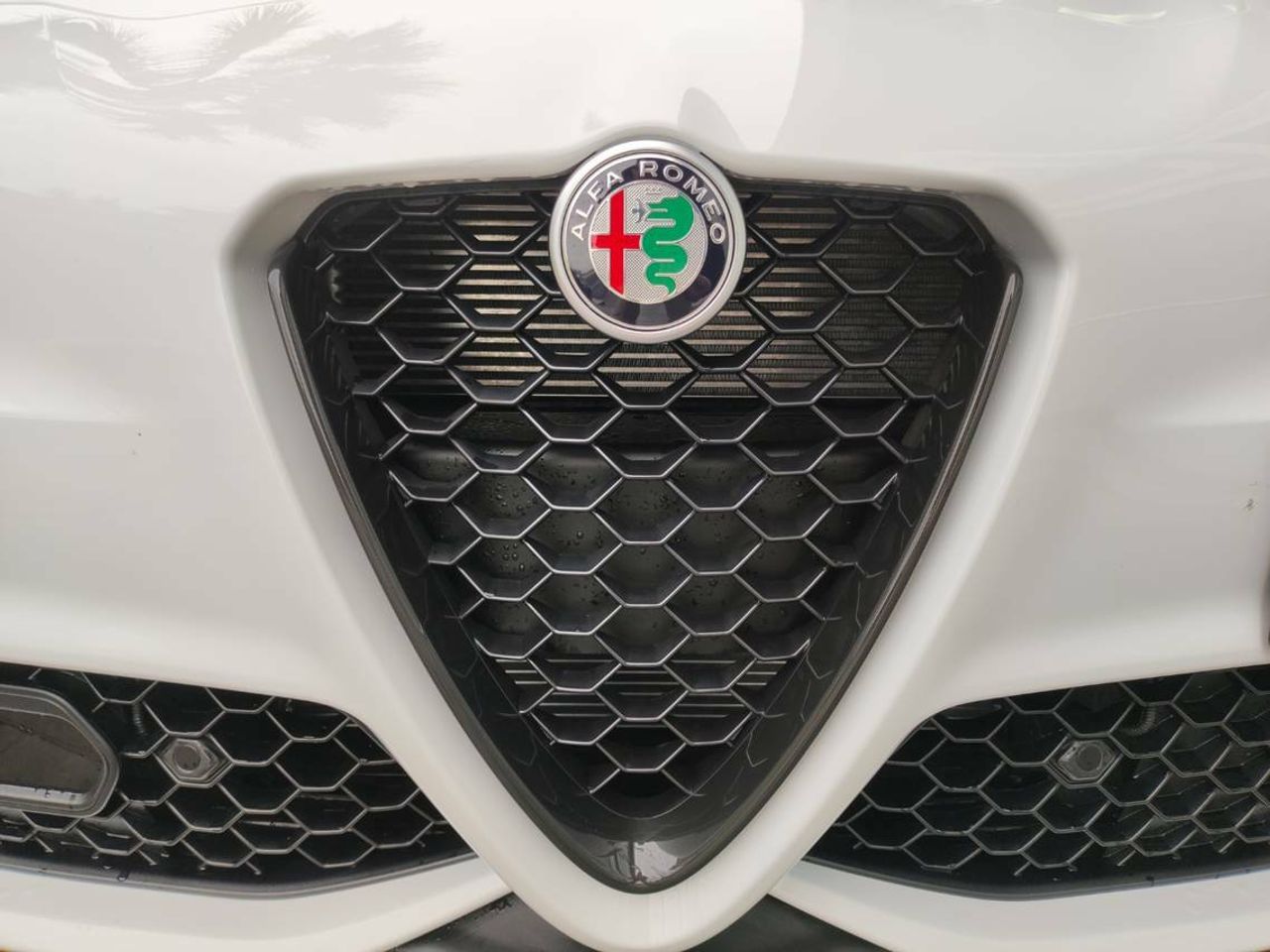 Foto Alfa Romeo Giulia 32