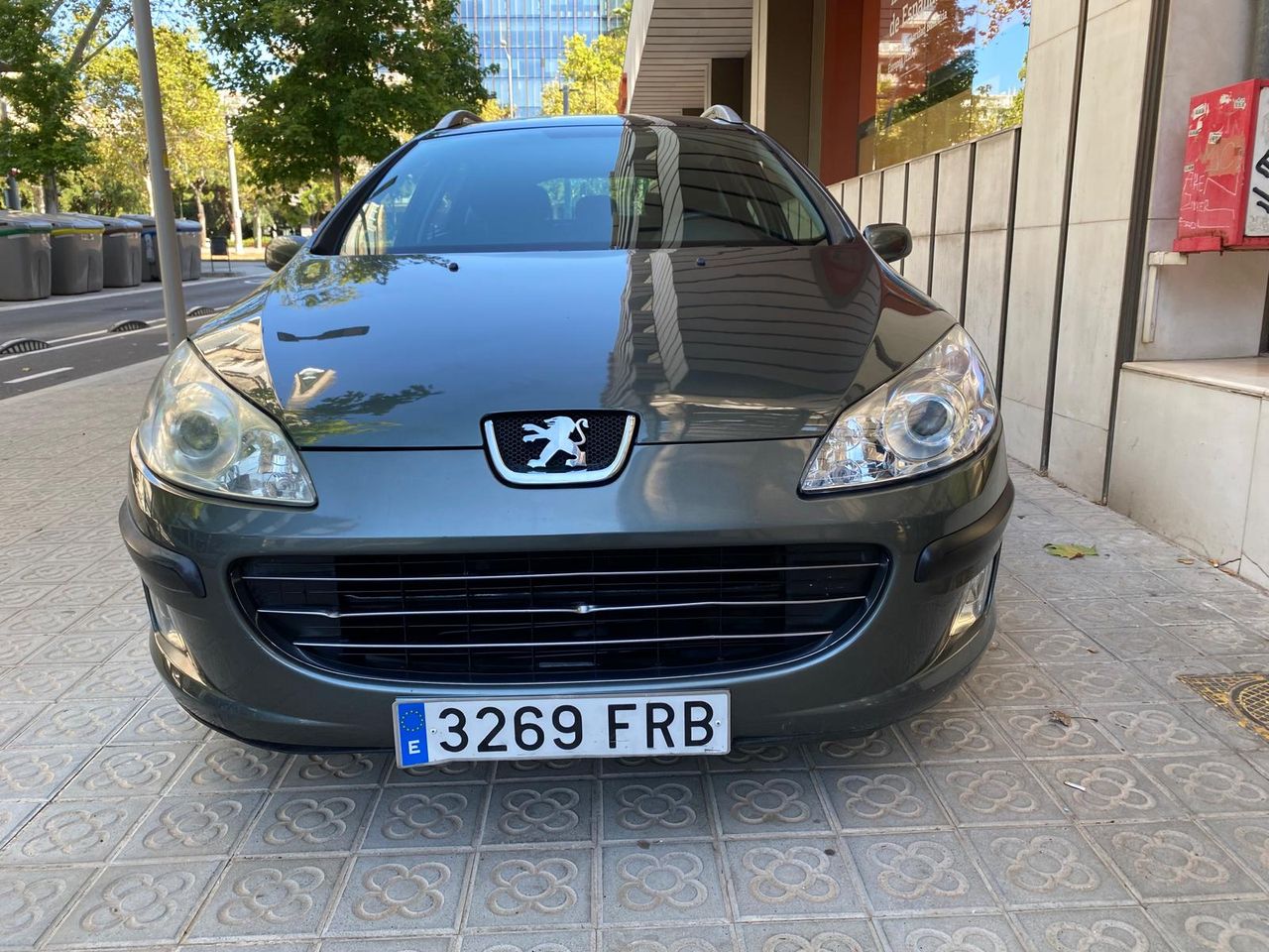 Foto Peugeot 407 SW 2