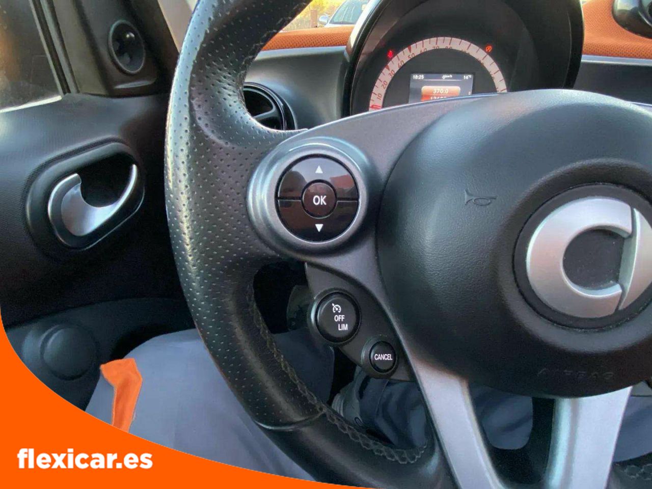 Foto Smart Forfour 13