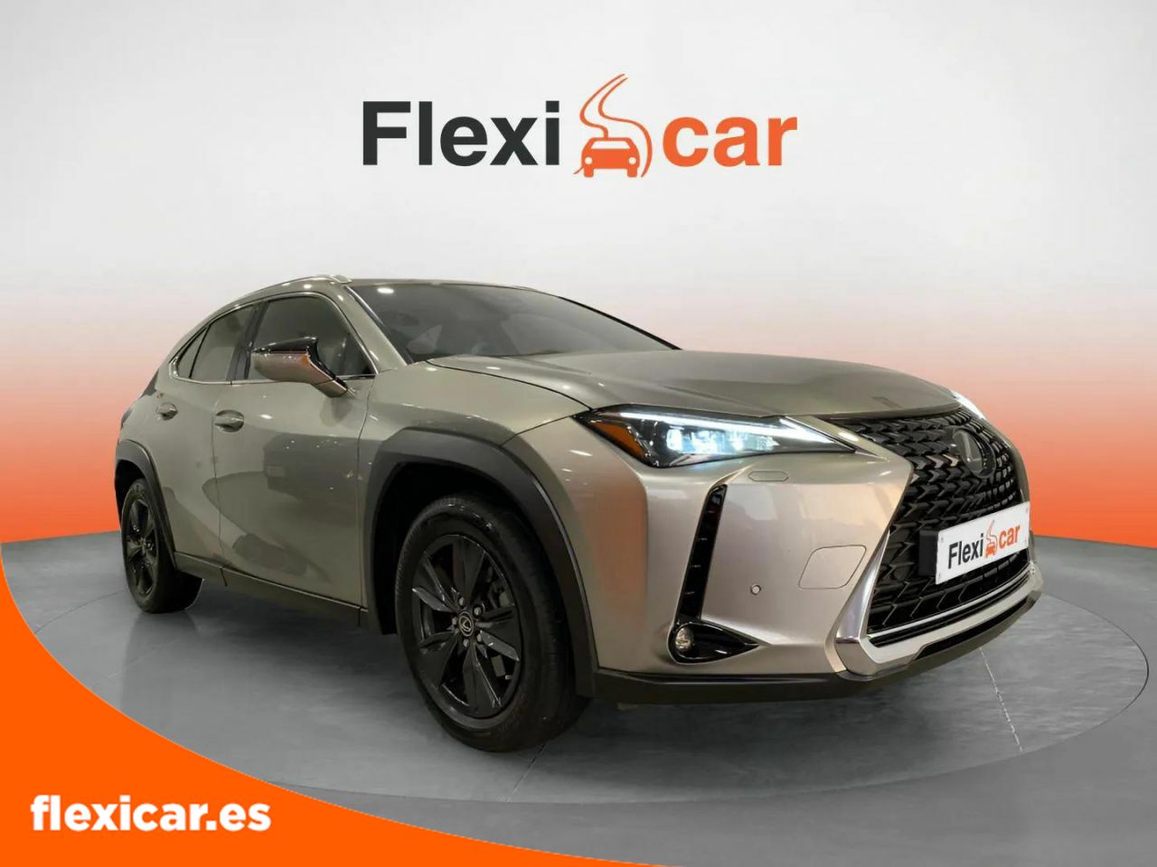 Foto Lexus UX 8