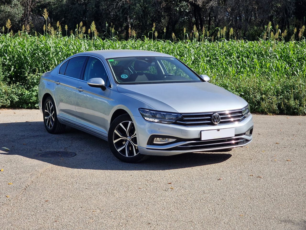 Foto Volkswagen Passat 1