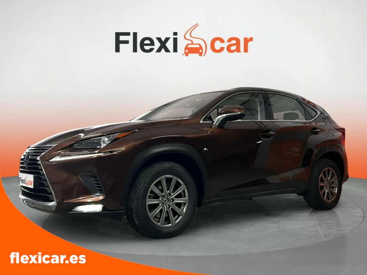 Foto Lexus NX 3