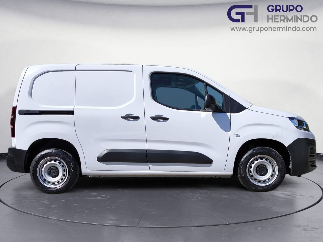 Foto Citroën Berlingo  Furgon 3