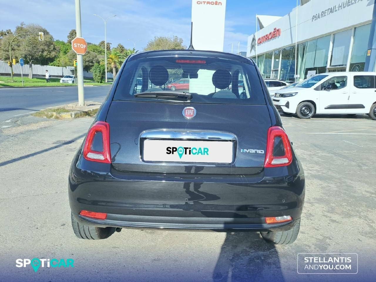 Foto Fiat 500 5