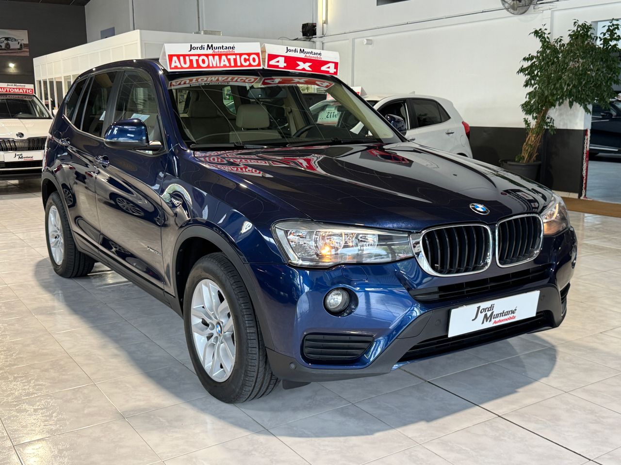 Foto BMW X3 6