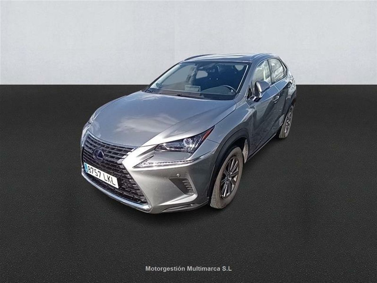 Foto Lexus NX 1