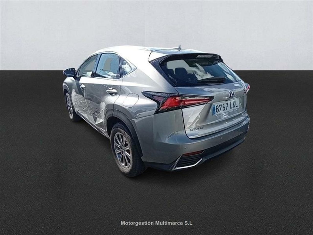 Foto Lexus NX 6