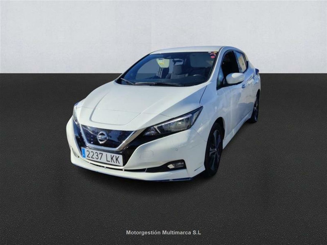 Foto Nissan Leaf 1