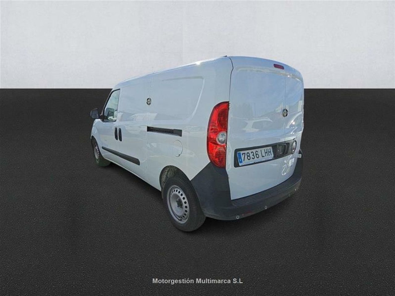 Foto Fiat Doblo Cargo 6