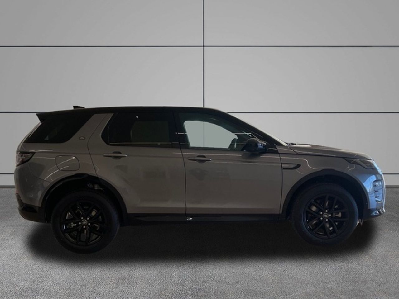 Foto Land-Rover Discovery Sport 8