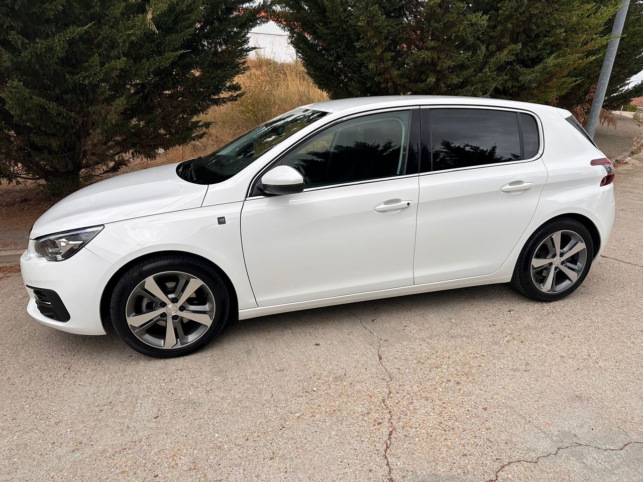 Foto Peugeot 308 24