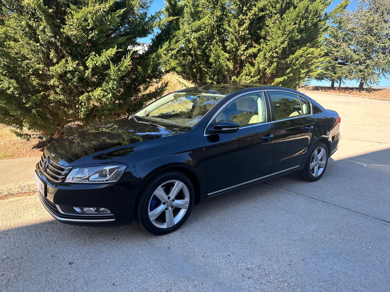 Foto Volkswagen Passat 6