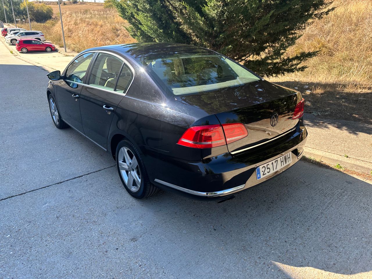 Foto Volkswagen Passat 12