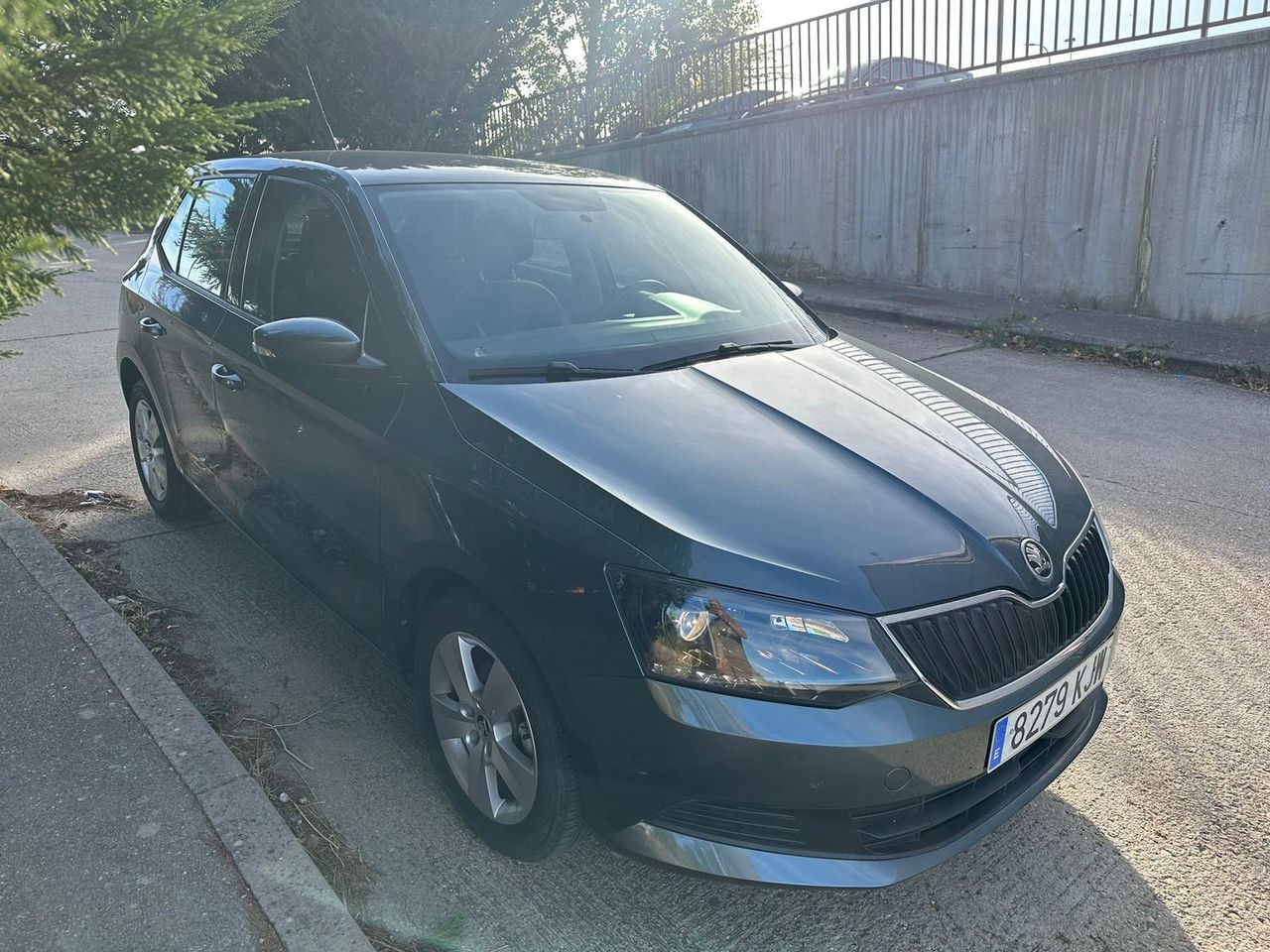 Foto Skoda Fabia 16