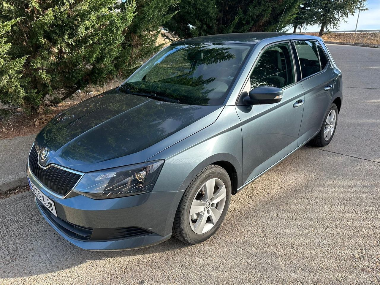 Foto Skoda Fabia 19