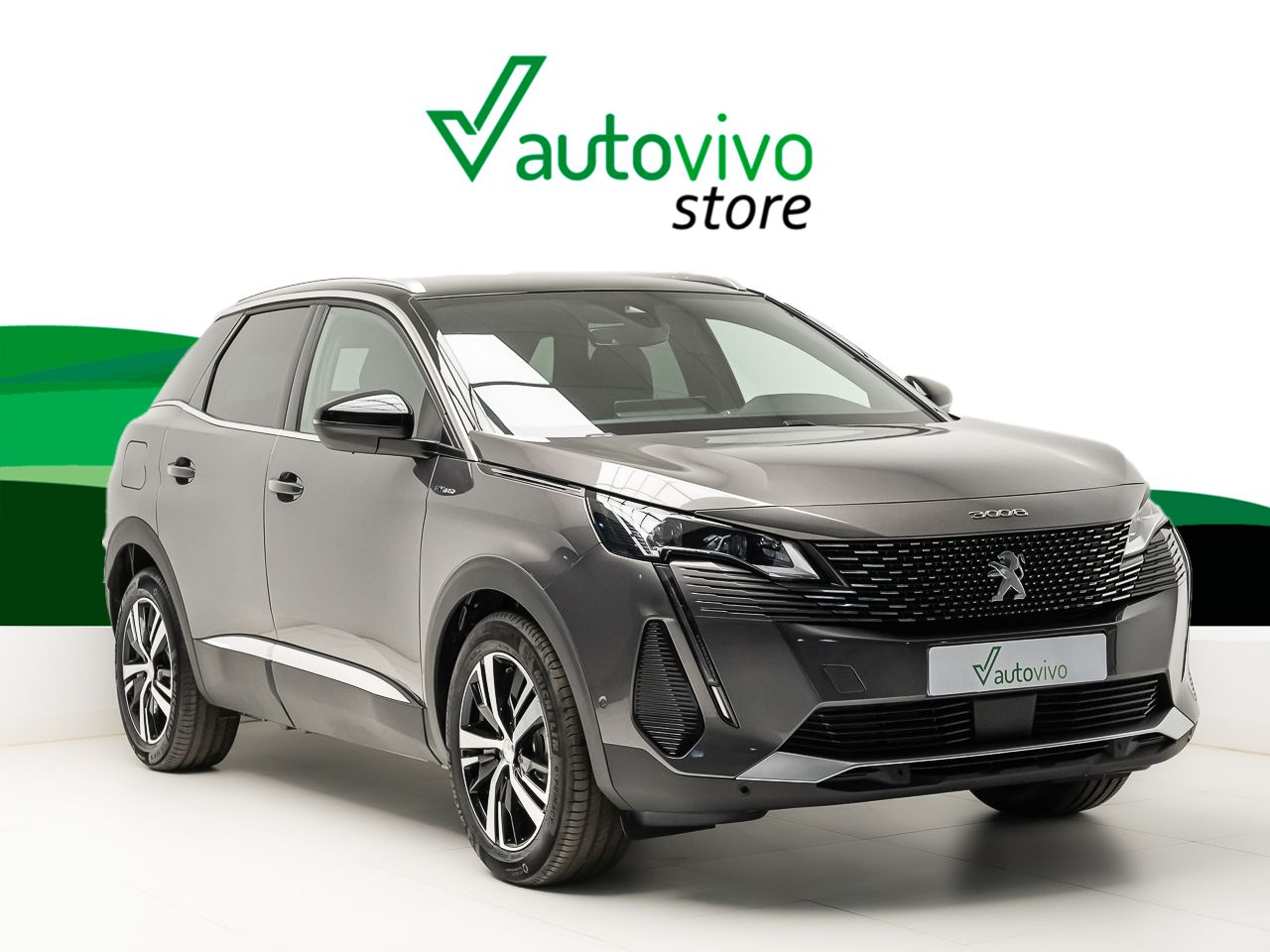 Foto Peugeot 3008 1