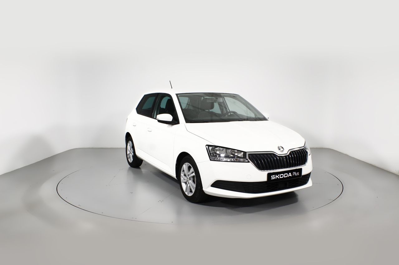 Foto Skoda Fabia 1