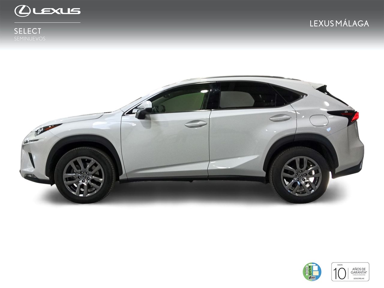 Foto Lexus NX 3