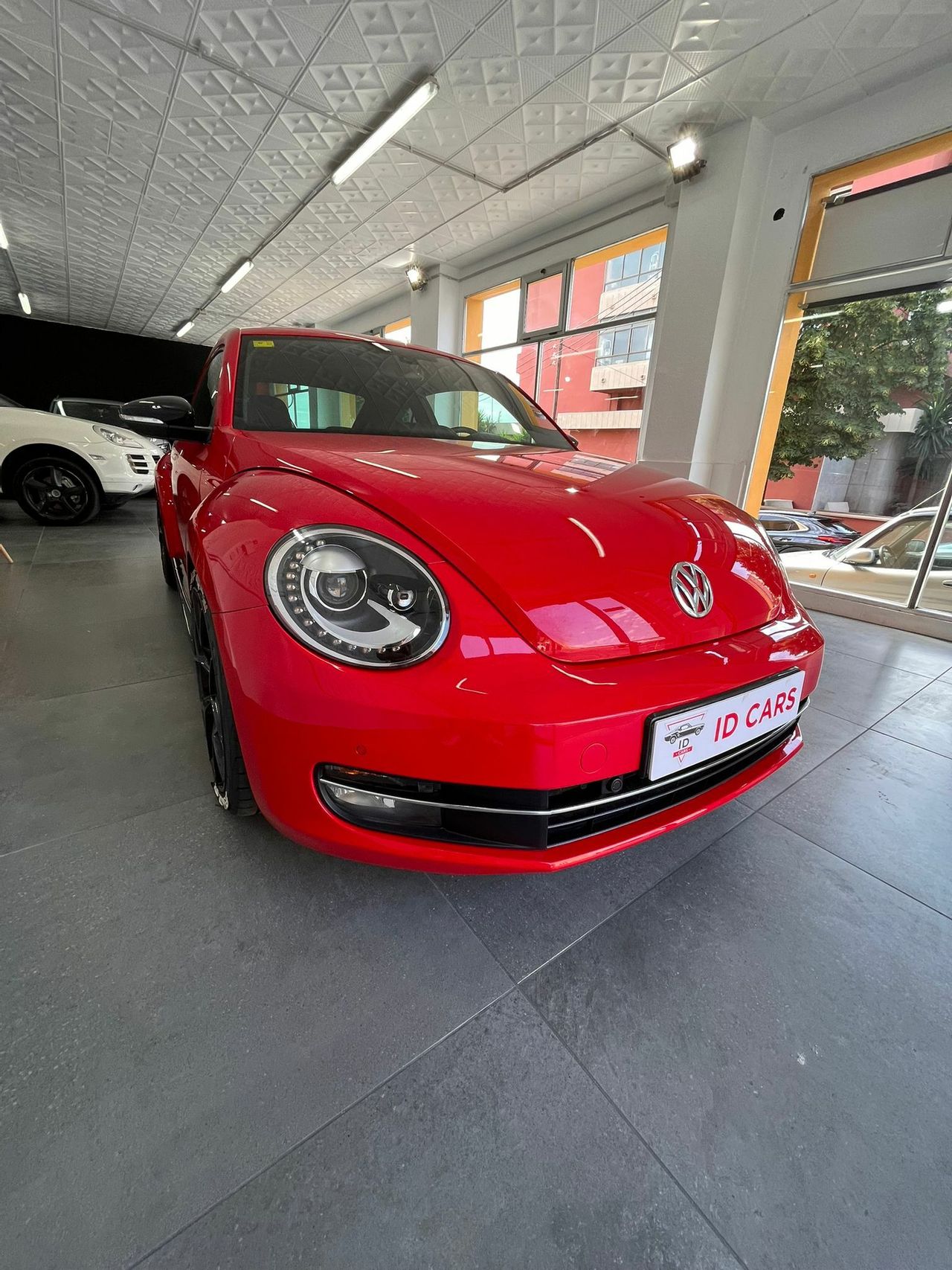 Foto Volkswagen Beetle 9