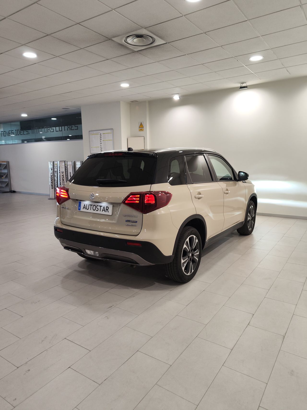 Foto Suzuki Vitara 12