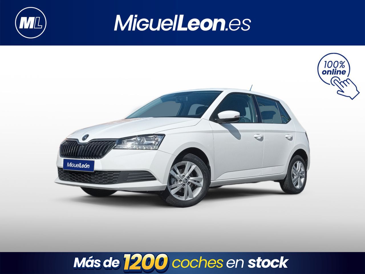 Foto Skoda Fabia 1