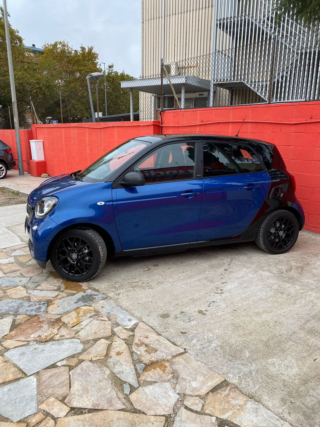 Foto Smart Forfour 6