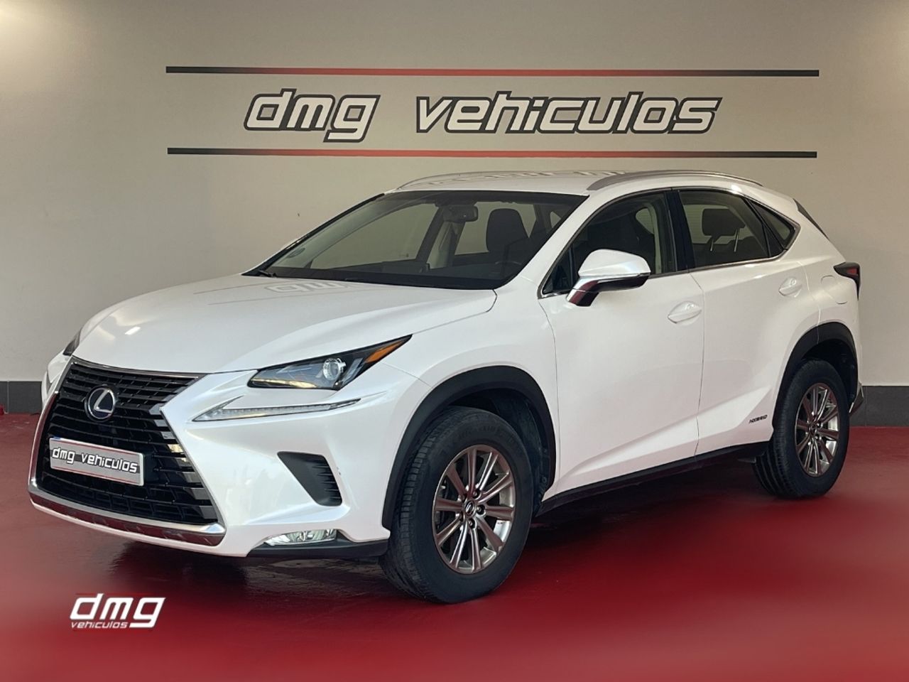 Foto Lexus NX 2