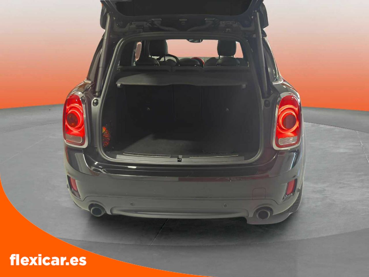 Foto Mini Countryman 17