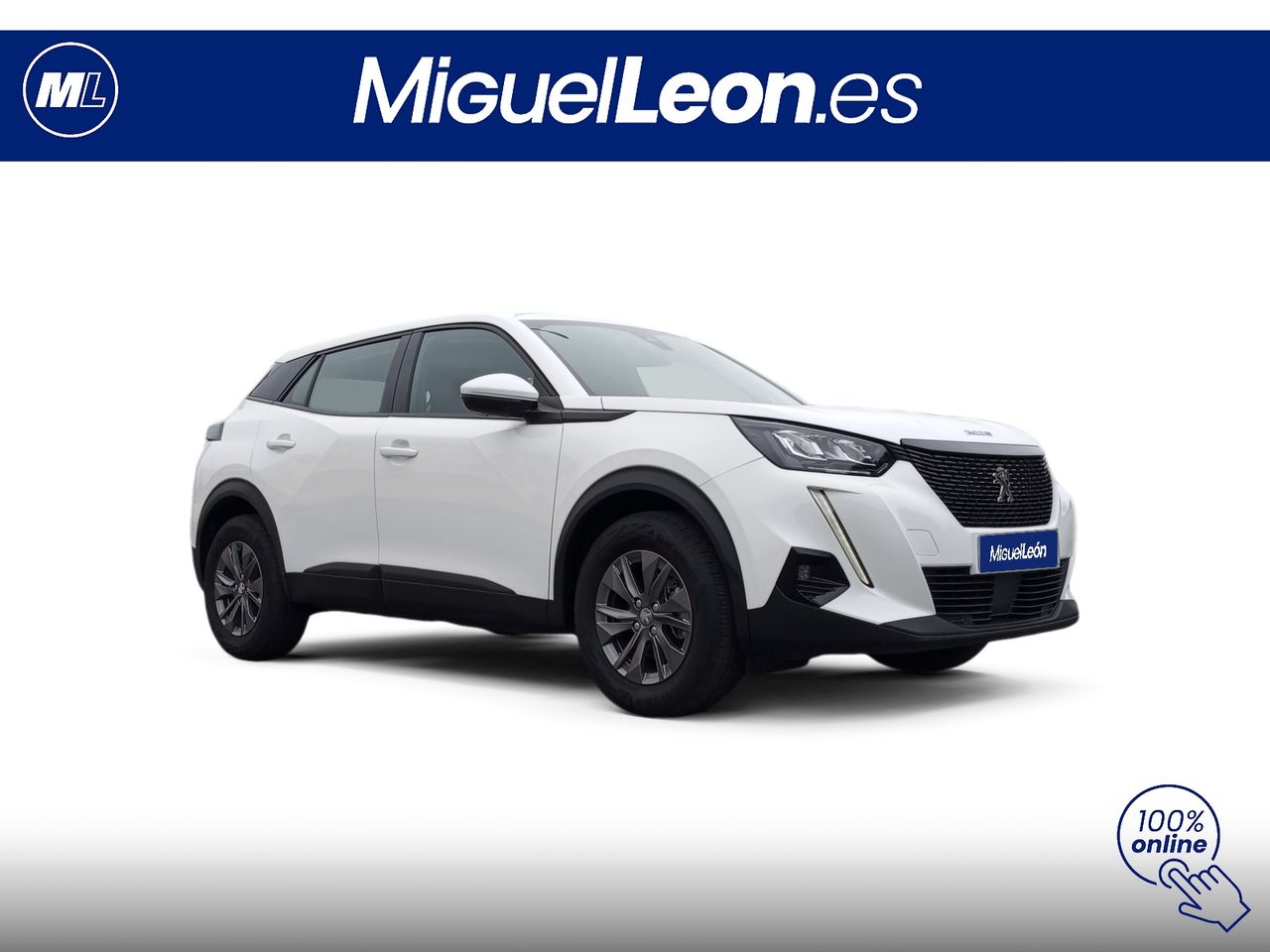 Foto Peugeot 2008 3