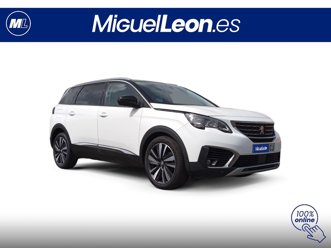 Foto Peugeot 5008 3