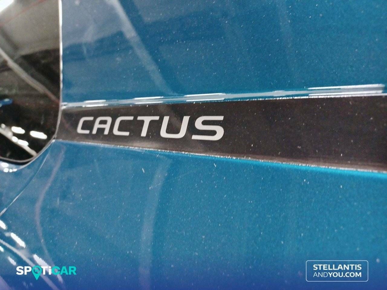 Foto Citroën C4 Cactus 22