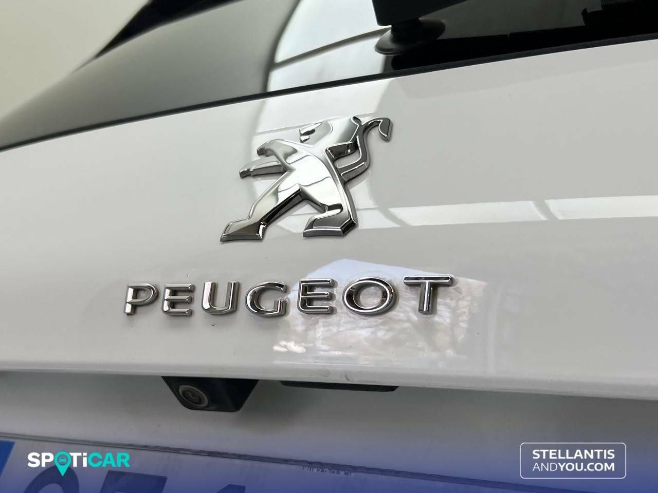 Foto Peugeot 308 24