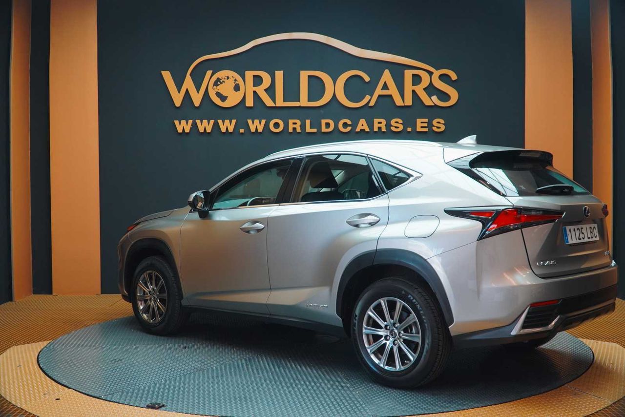 Foto Lexus NX 3