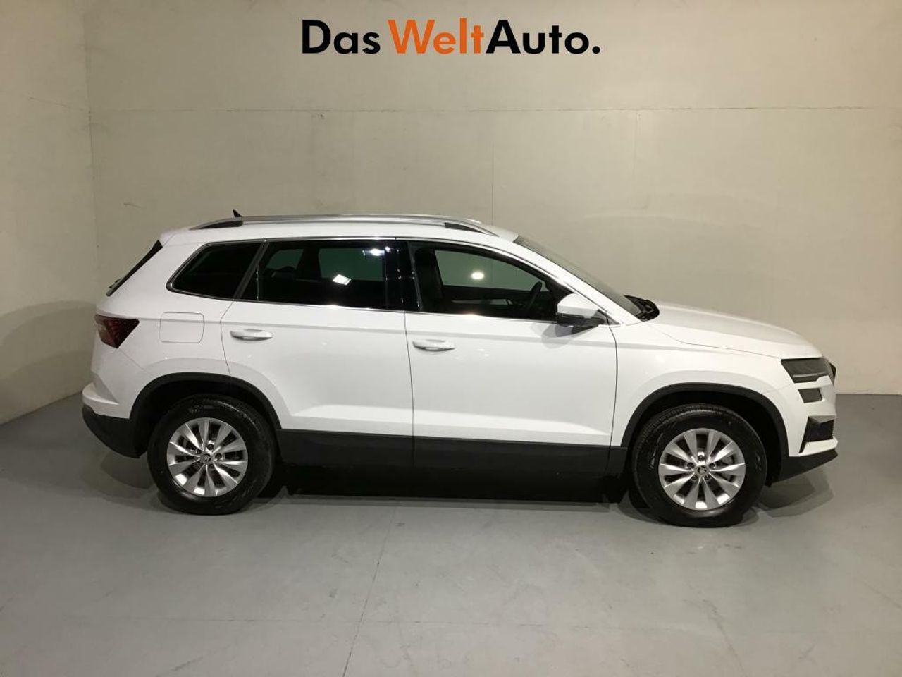 Foto Skoda Karoq 3