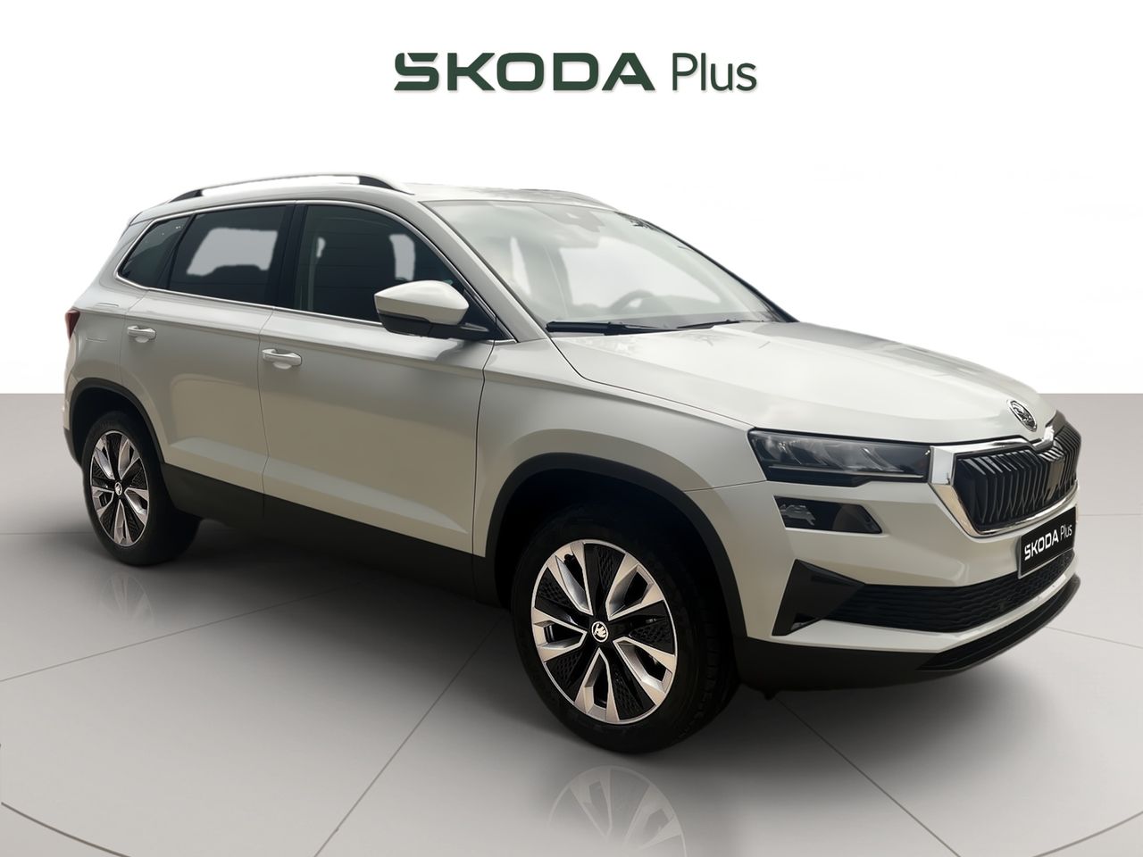 Foto Skoda Karoq 1