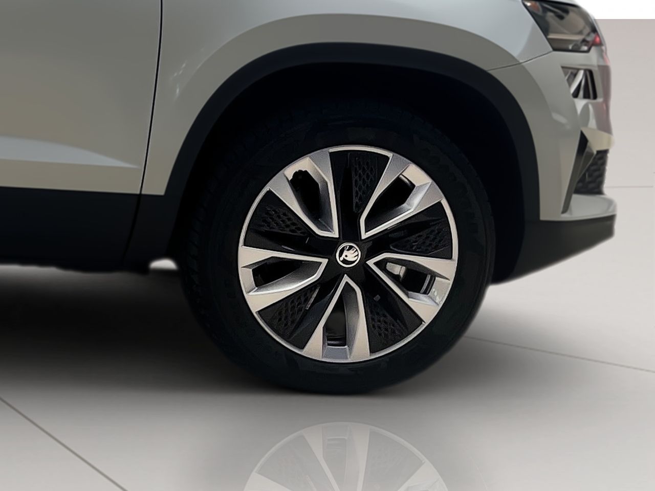 Foto Skoda Karoq 8