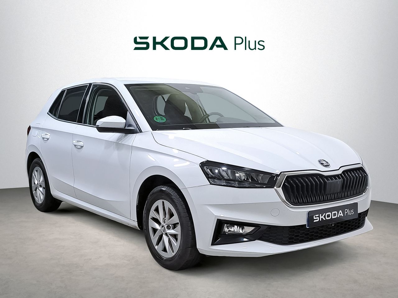 Foto Skoda Fabia 1