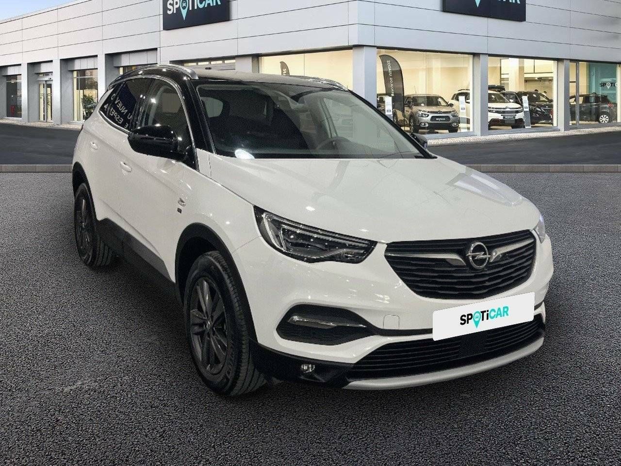 Foto Opel Grandland X 3