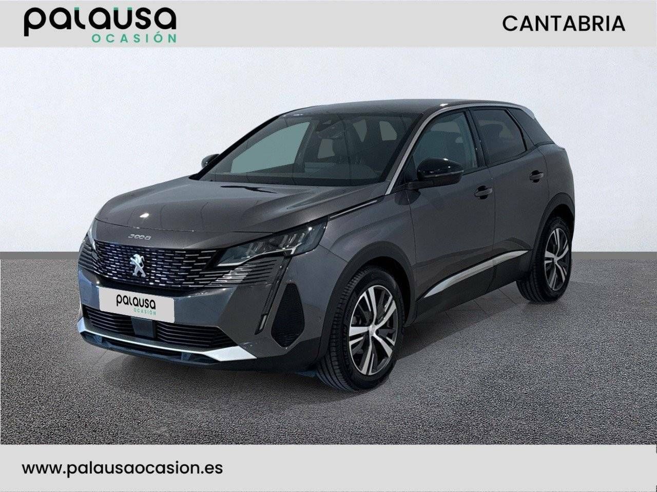 Foto Peugeot 3008 1