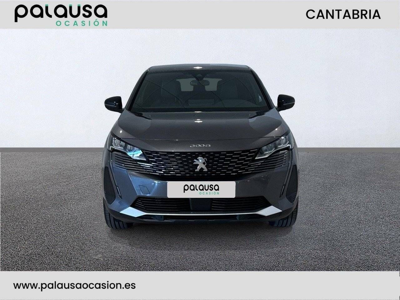 Foto Peugeot 3008 2