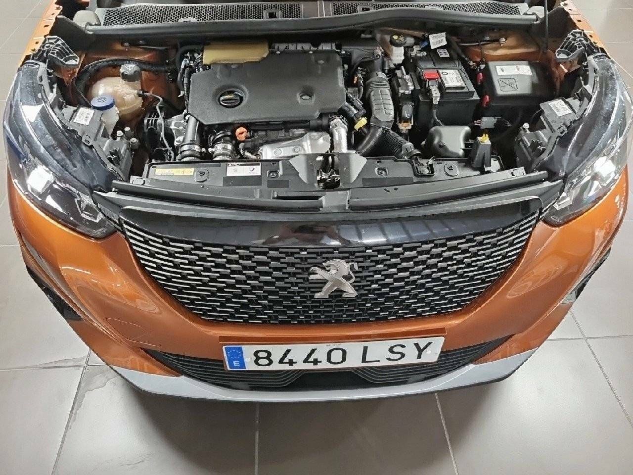 Foto Peugeot 2008 14