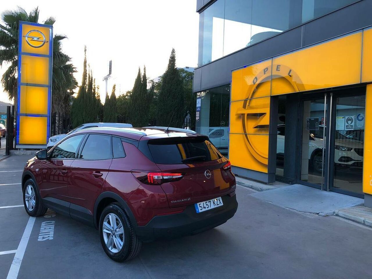 Foto Opel Grandland X 5