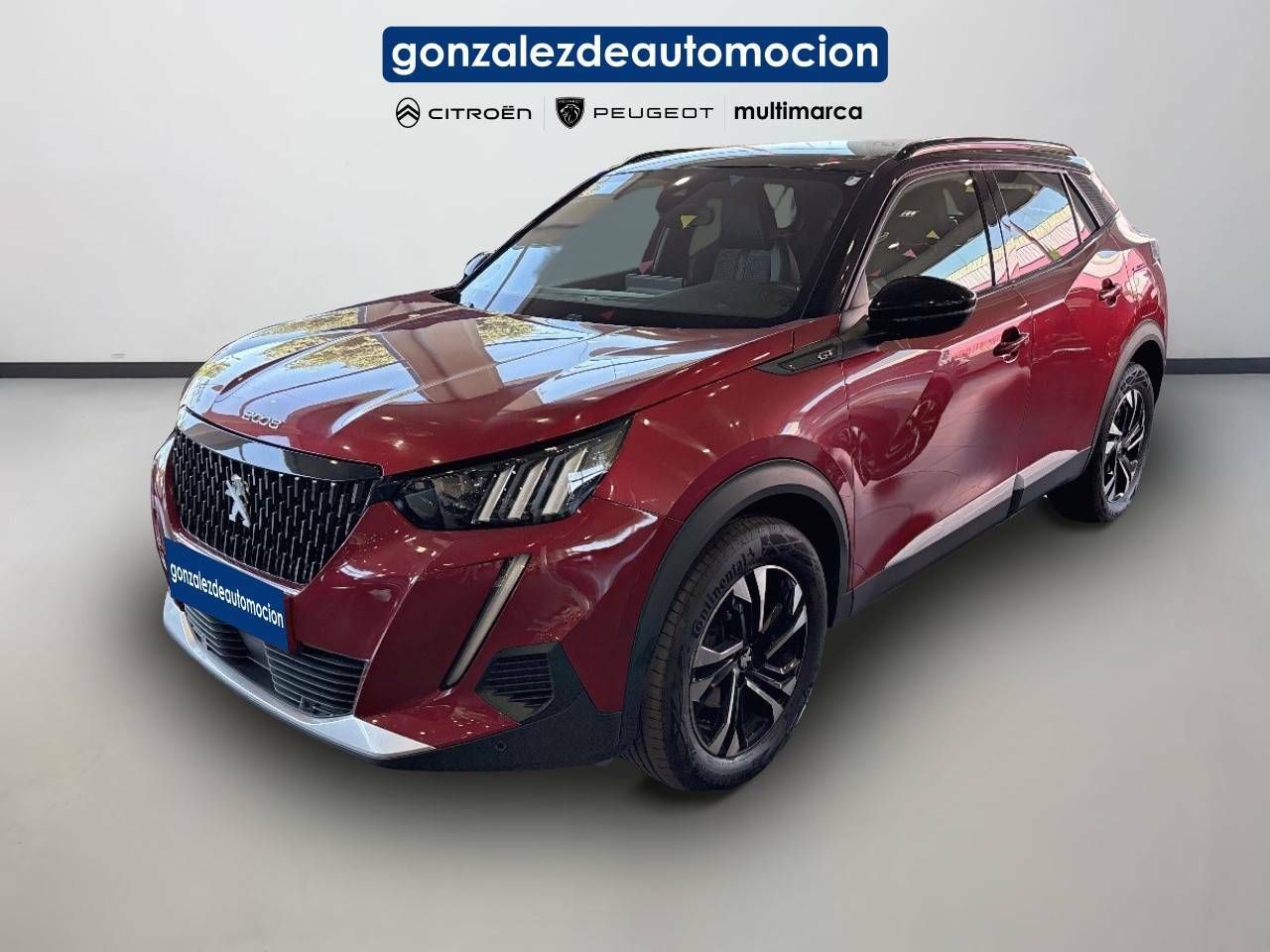 Foto Peugeot 2008 1