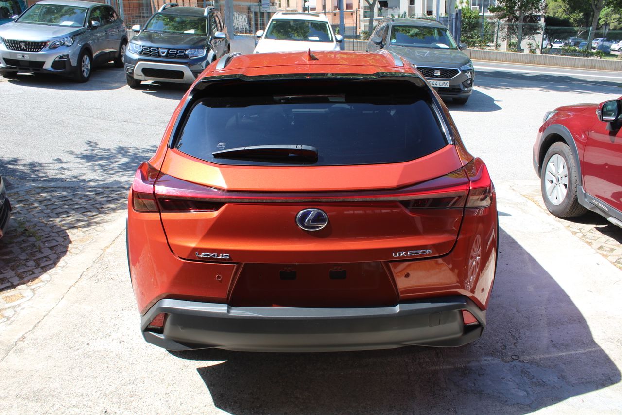 Foto Lexus UX 5