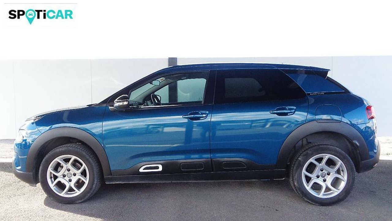 Foto Citroën C4 Cactus 15