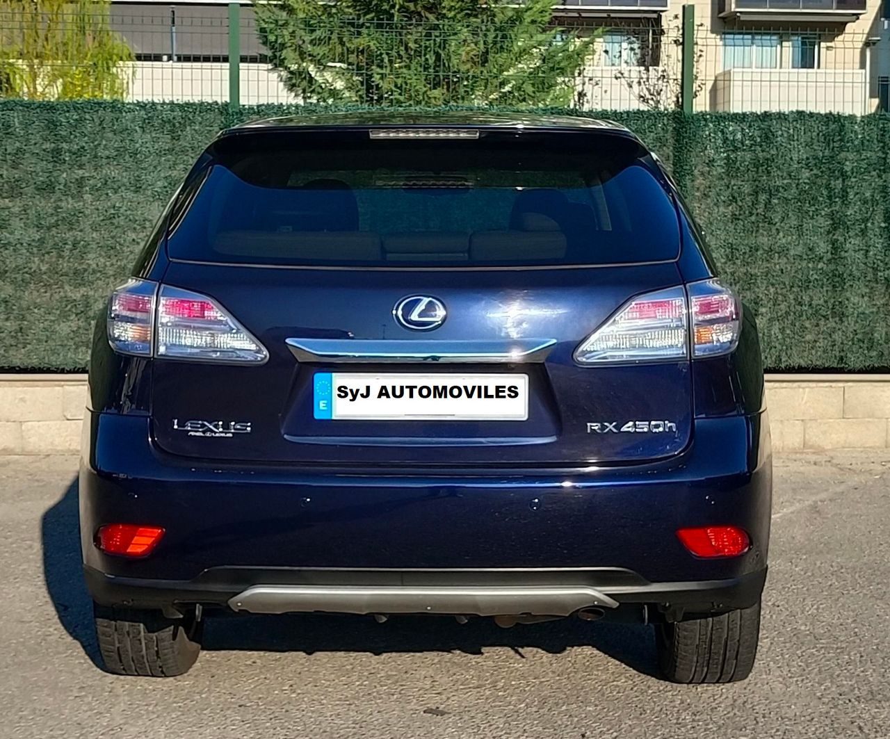 Foto Lexus RX 13