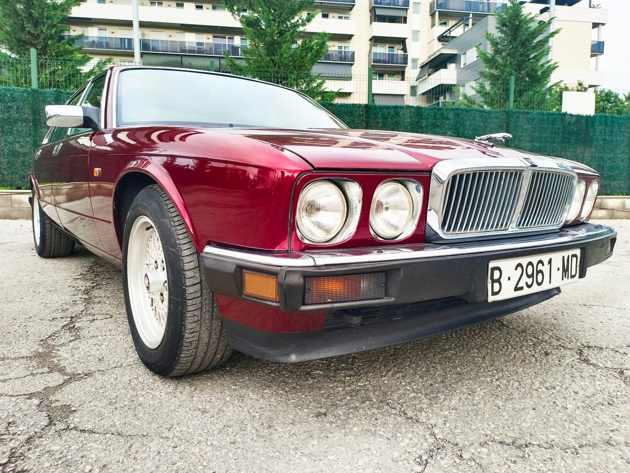 Foto Jaguar XJ 12