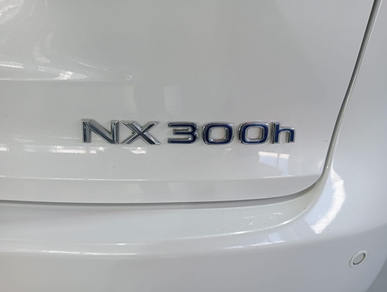 Foto Lexus NX 10