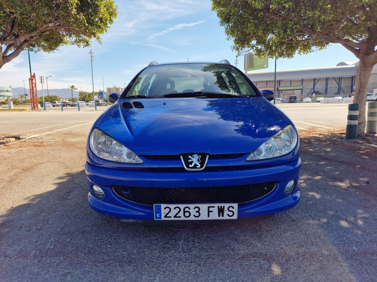 Foto Peugeot 206 SW 1