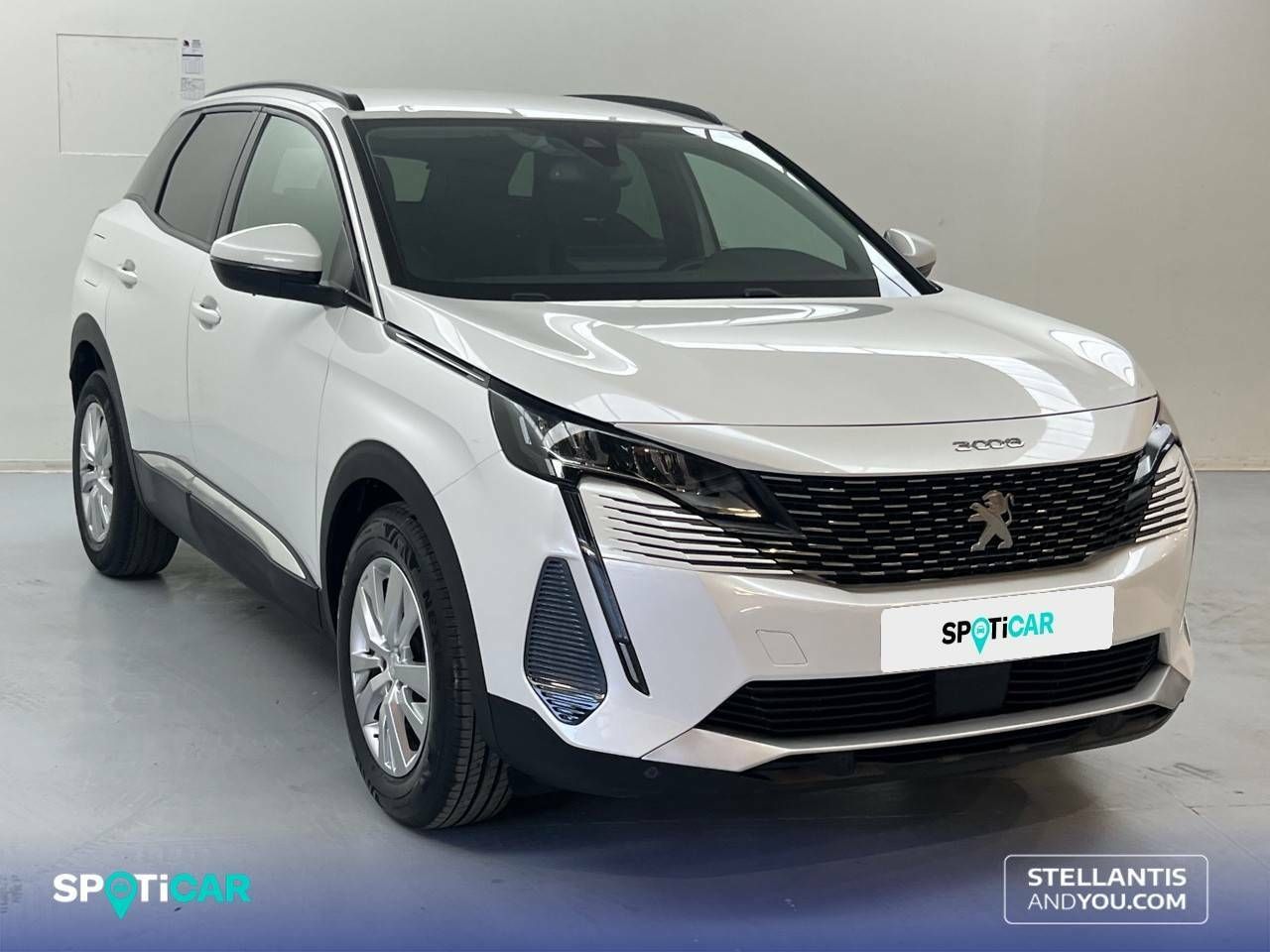 Foto Peugeot 3008 3